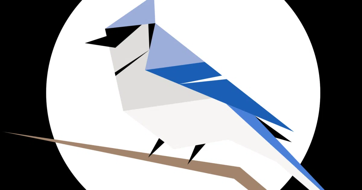 BirdNET-Analyzer