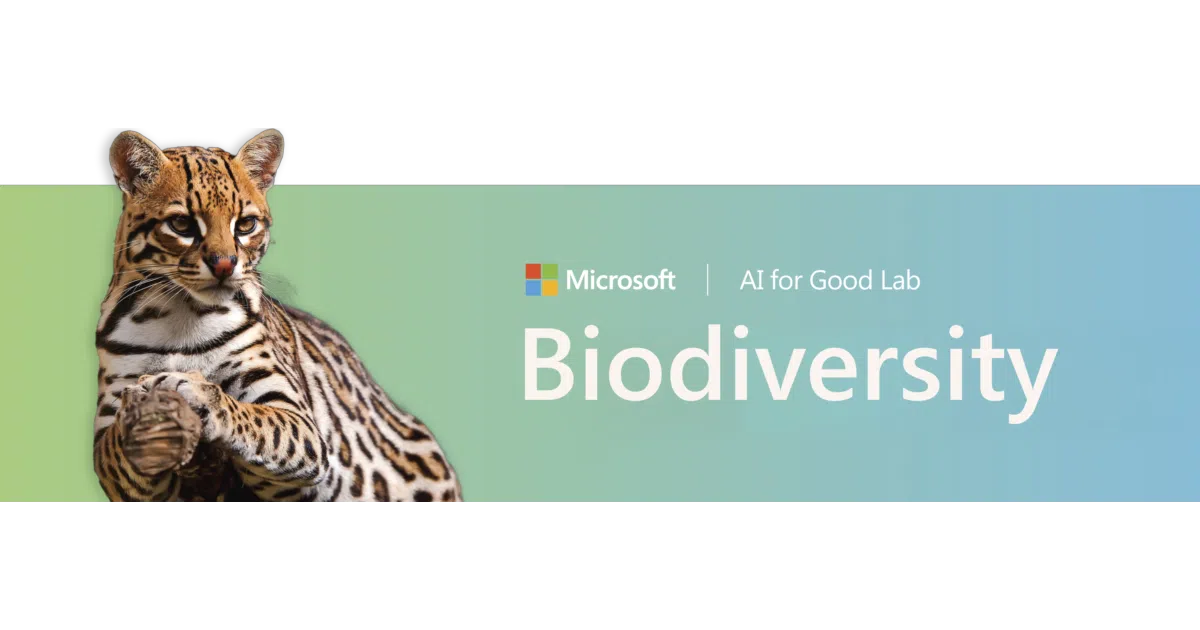 Biodiversity