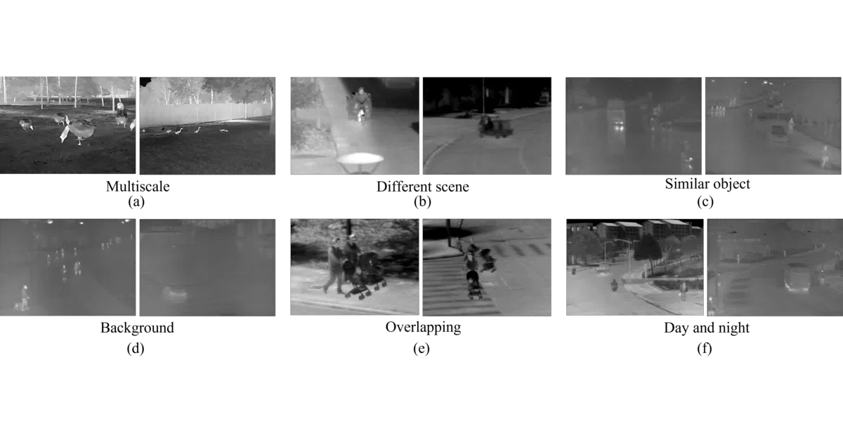 IFSOD-dataset