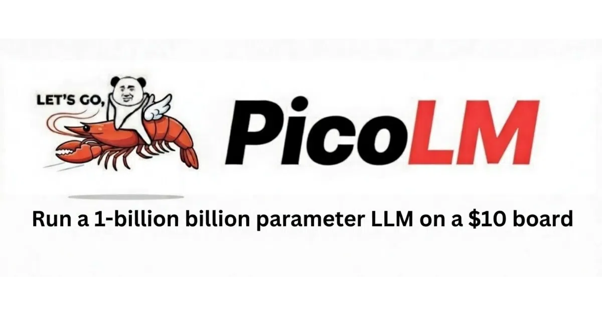 picolm