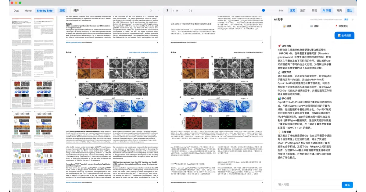 pdf2zh-desktop