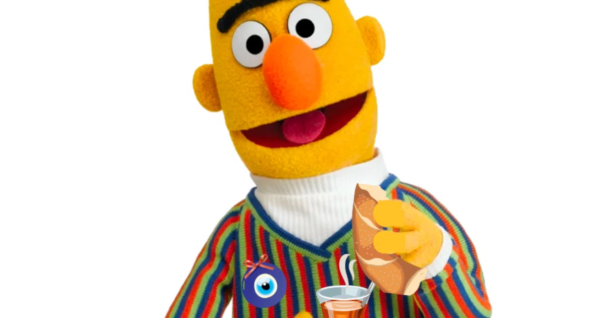 turkish-bert