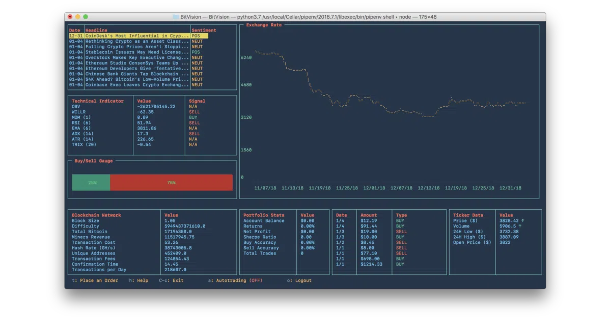 BitVision