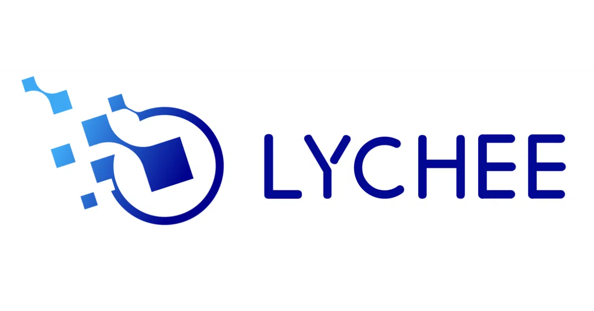 LycheeMem/LycheeMem