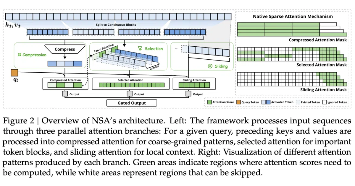 native-sparse-attention-pytorch