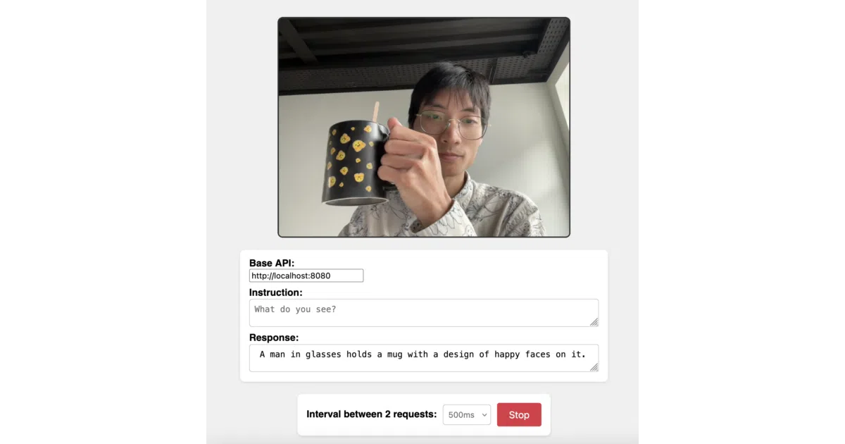 smolvlm-realtime-webcam