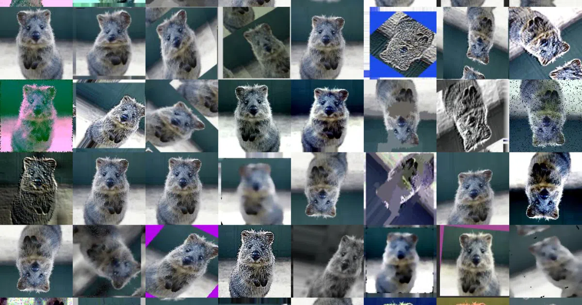 imgaug