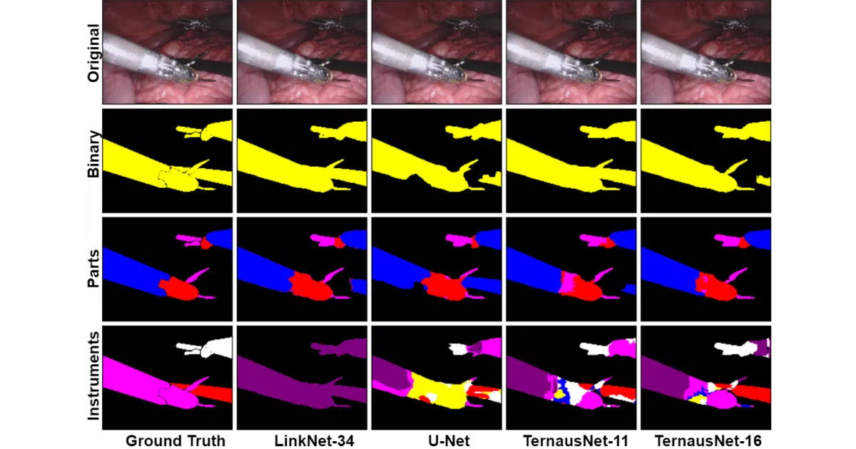robot-surgery-segmentation