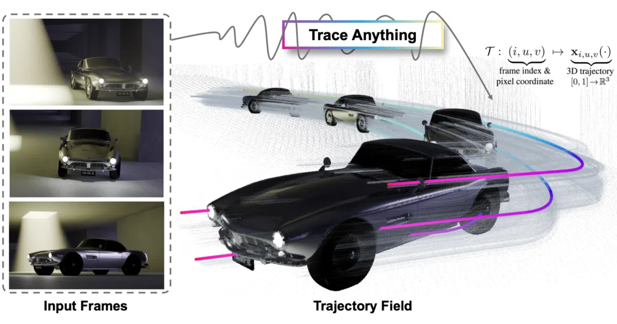 TraceAnything