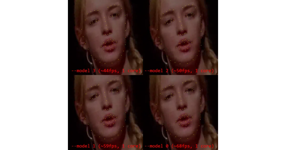 OpenSeeFace