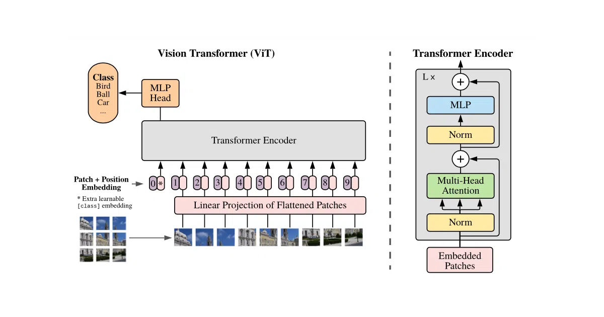 ViT-pytorch