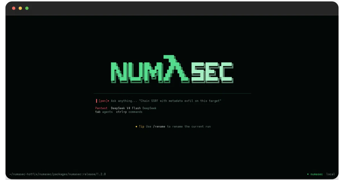 numasec
