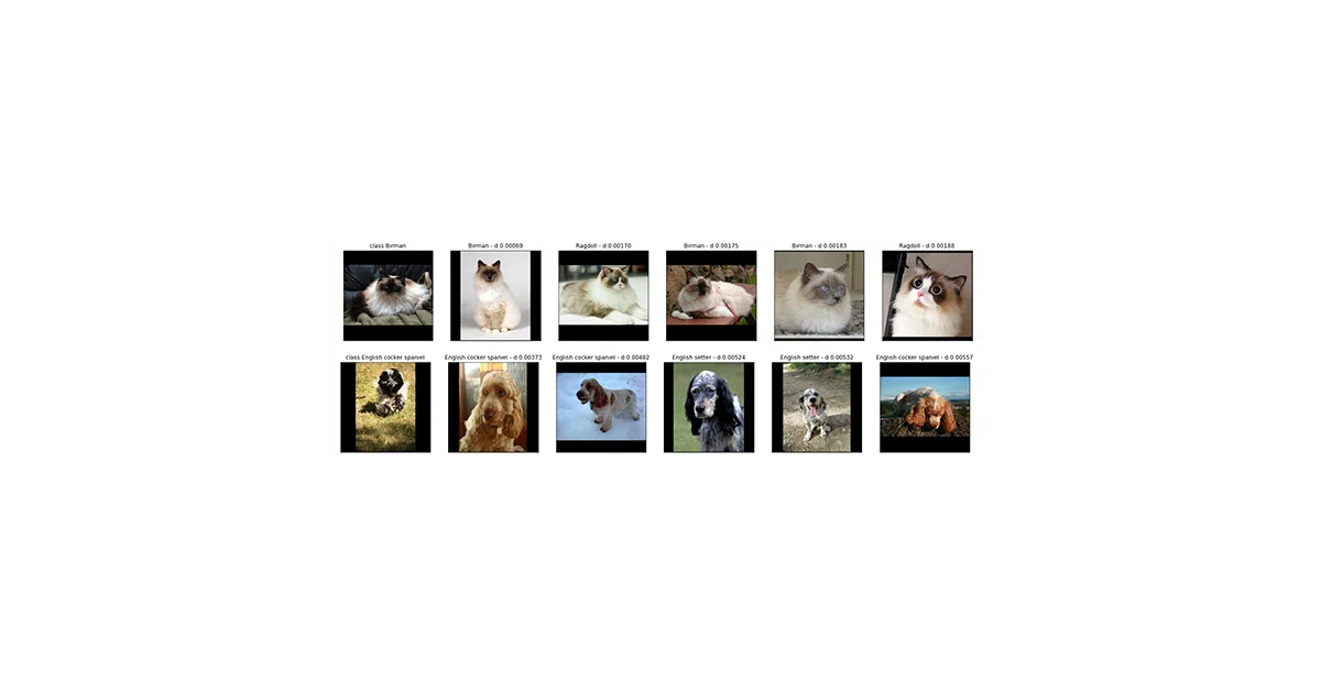 similarity